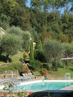 Outdoor pool - "Casa il Noce" in the hills of Lucca with swimming pool 30 min from the sea of Viareggio (Pescaglia)