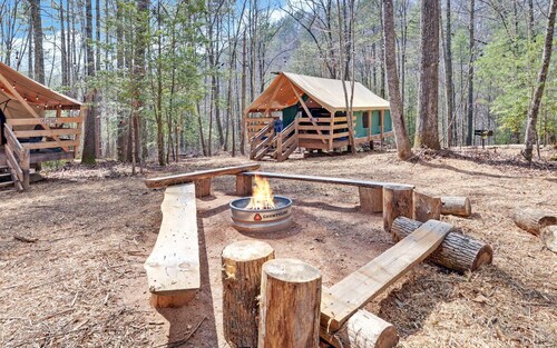 Safari Tent Bliss for You and Your Best Friend: Pet-Friendly Glamping in Suches, Georgia