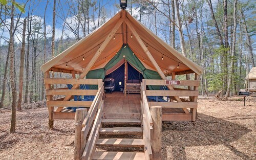 Safari Tent Bliss for You and Your Best Friend: Pet-Friendly Glamping in Suches, Georgia