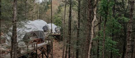 Geodesic dome structures in a forest setting.