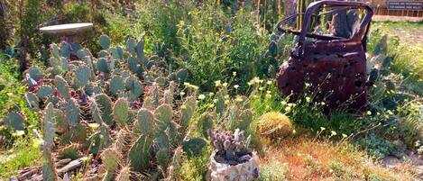 Overnatningsstedets område