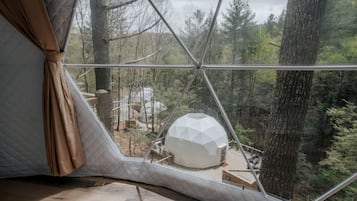 A geodesic dome structure in a forested area with a view through a window.