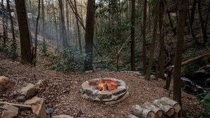 A forest with a stone fire pit surrounded by logs and rocks. - Unmatched Views Await You at this Cherry Log, Georgia Designer Dome near Fall Branch Falls (Cherry Log)