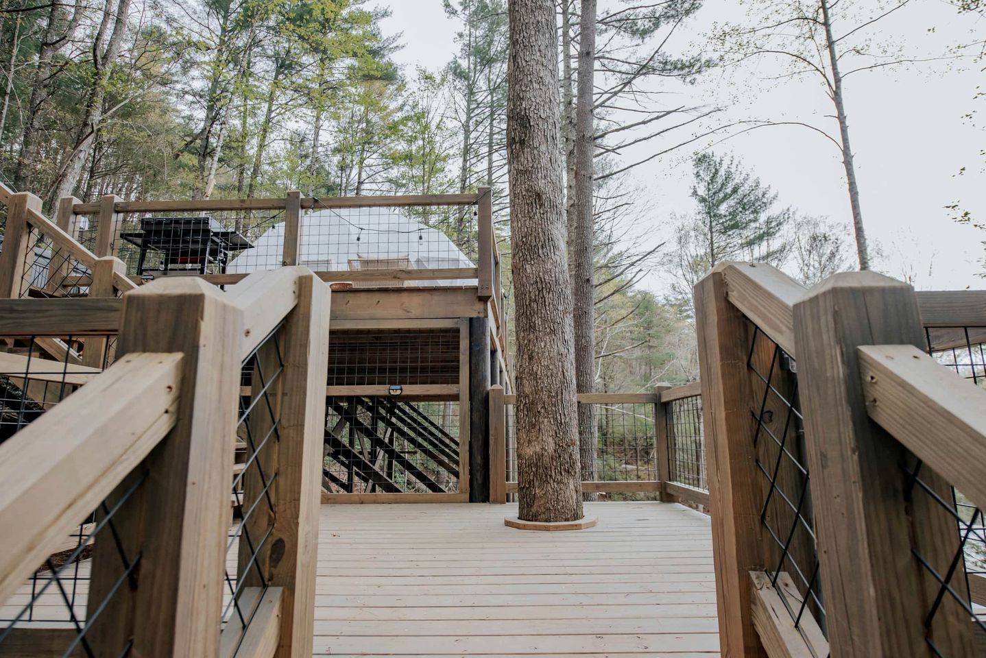Eine Holzterrasse mit einer Treppe, die zu einer Plattform führt, umgeben von Bäumen.