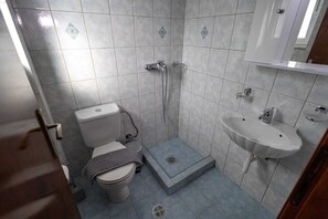 Chuveiro, secador de cabelo, toalhas de banho 