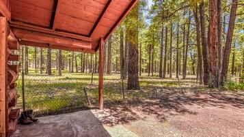 A covered outdoor area with a concrete floor, surrounded by a forest of tall trees.