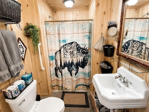 A wooden cabin bathroom with a toilet, sink, shower curtain, and a mirror. - Tranquil Two Bedroom Cabin in Riverside, Wyoming (Riverside)