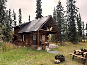 A rustic log cabin with a porch, a fireplace, and a picnic table.