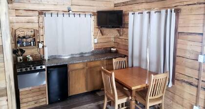 Pet Friendly Alaskan Cabin for Mountain Glamping in Wrangell St. Elias National Park and Preserve