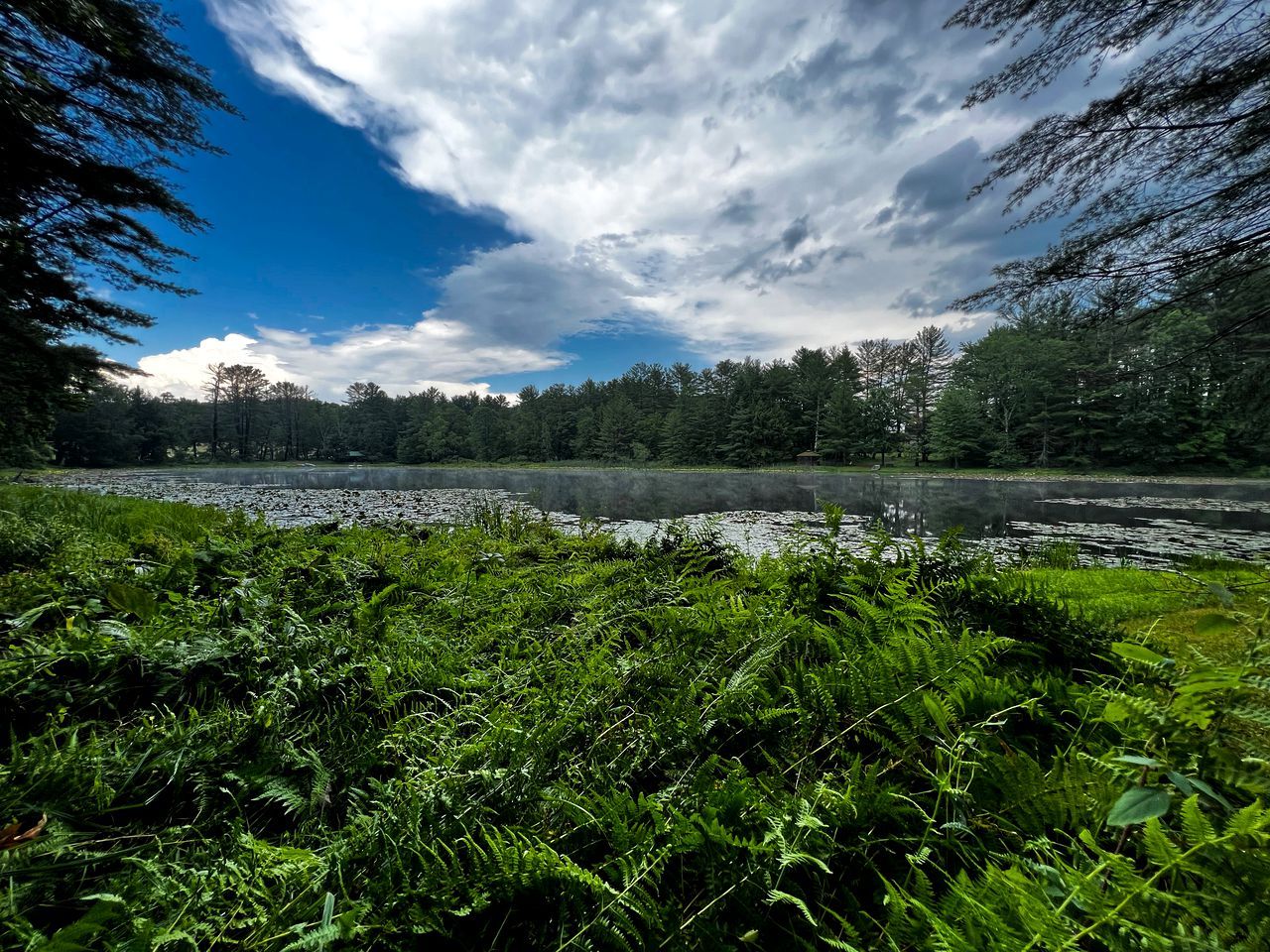 Un paysage naturel comprenant un lac, une végétation luxuriante et un ciel dégagé.