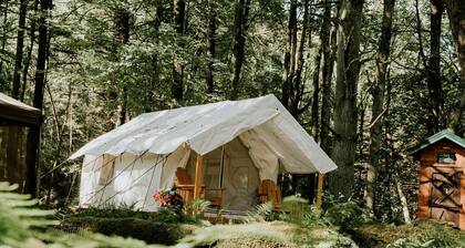 Serene Safari Tent For a Glamping by Getaway Rickett's Glenn State Park Nestled in the Heart of Huntington Mills, Pennsylvania