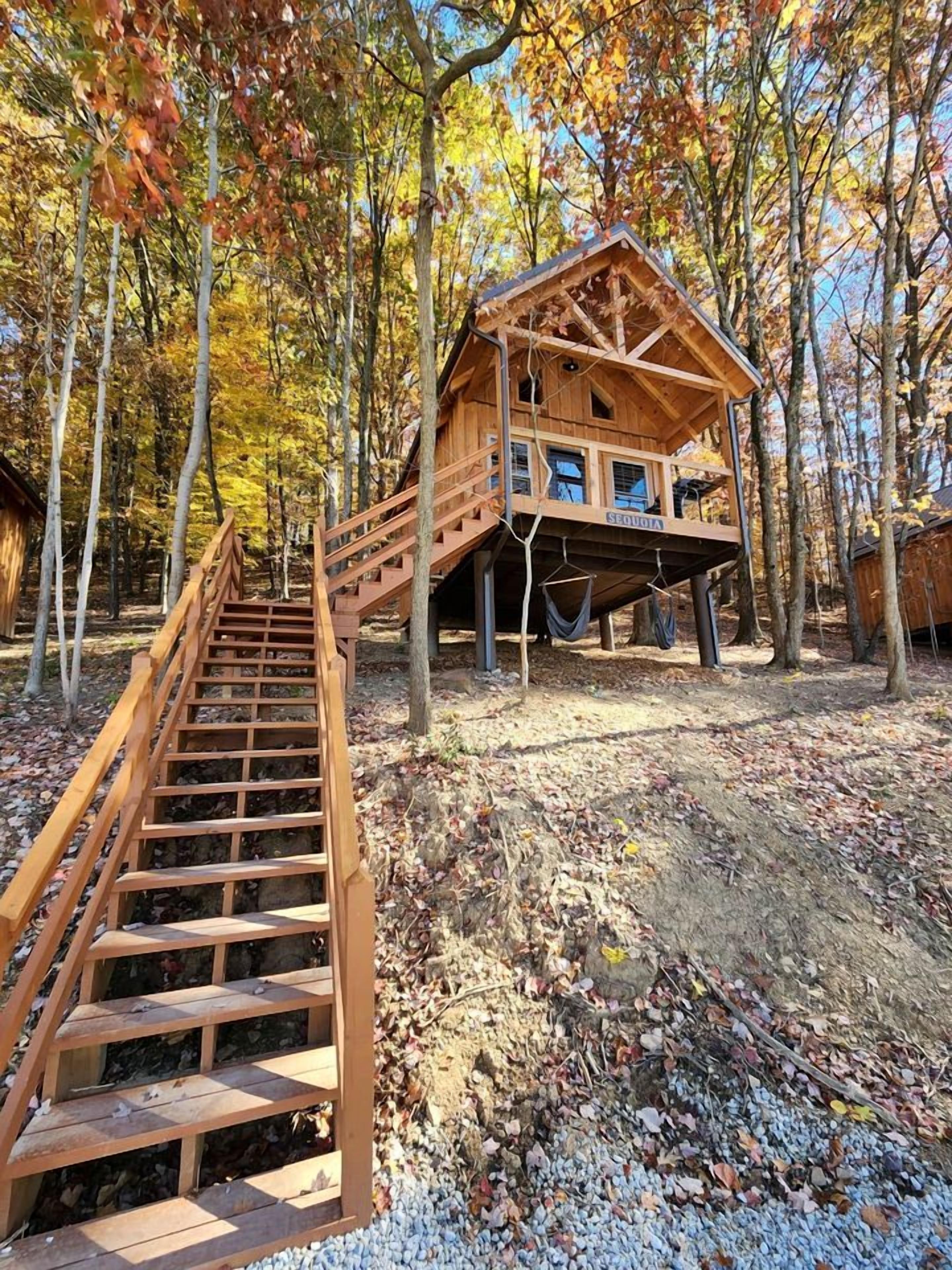 Ein Holzhaus auf einem Baum mit einer Treppe, umgeben von Bäumen im Herbstlaub.
