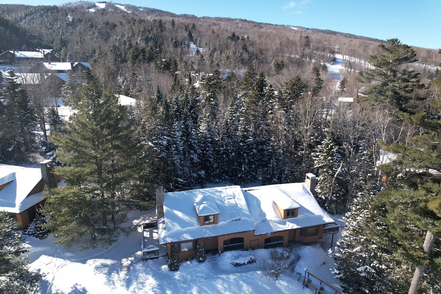 A residential area with snow-covered houses surrounded by dense forest.