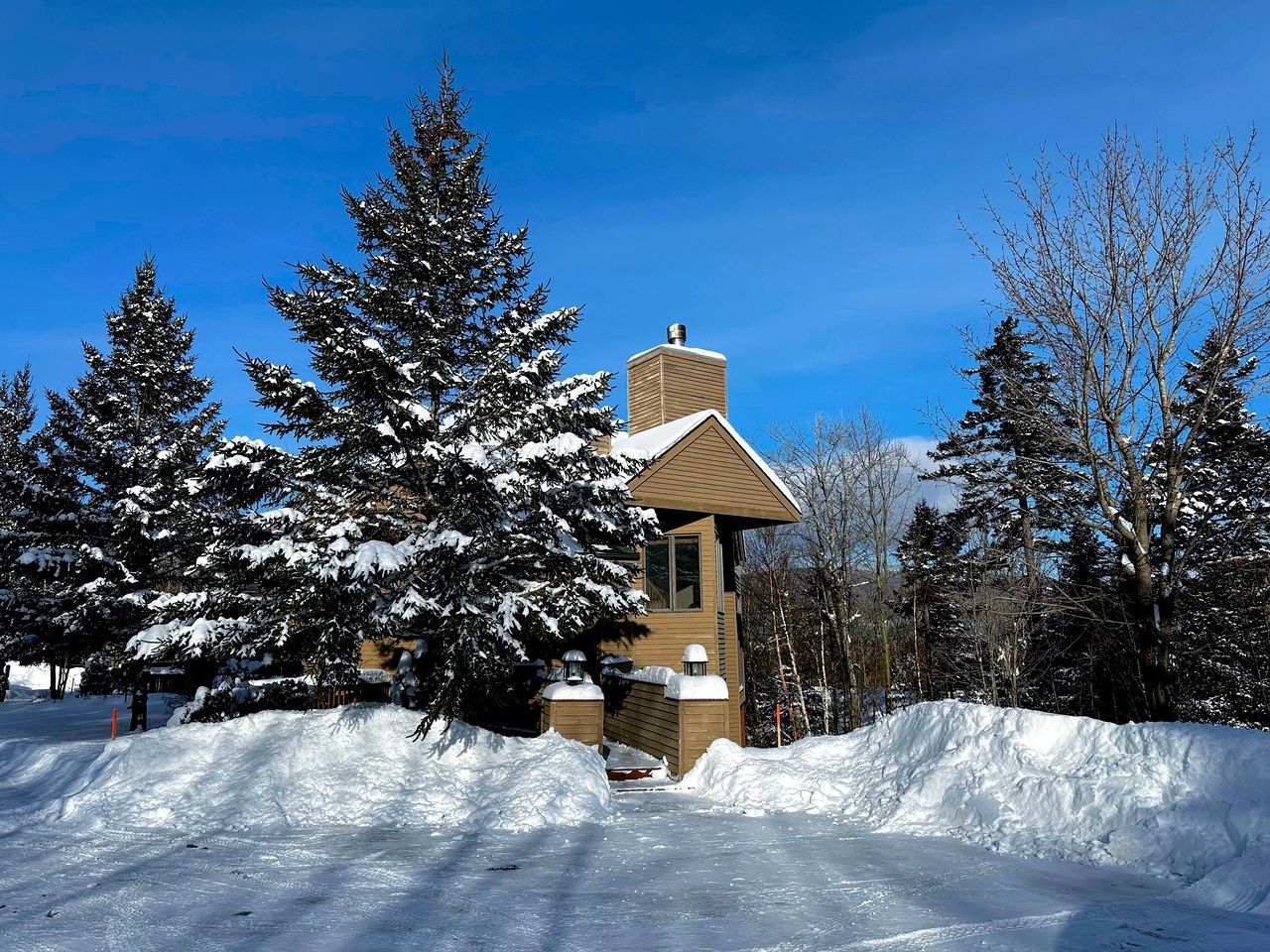 A snow-covered landscape with a single-story building surrounded by snow-laden trees.