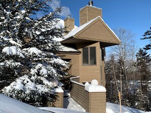 Eine Holzhütte mit geneigtem Dach, umgeben von schneebedeckten Bäumen.