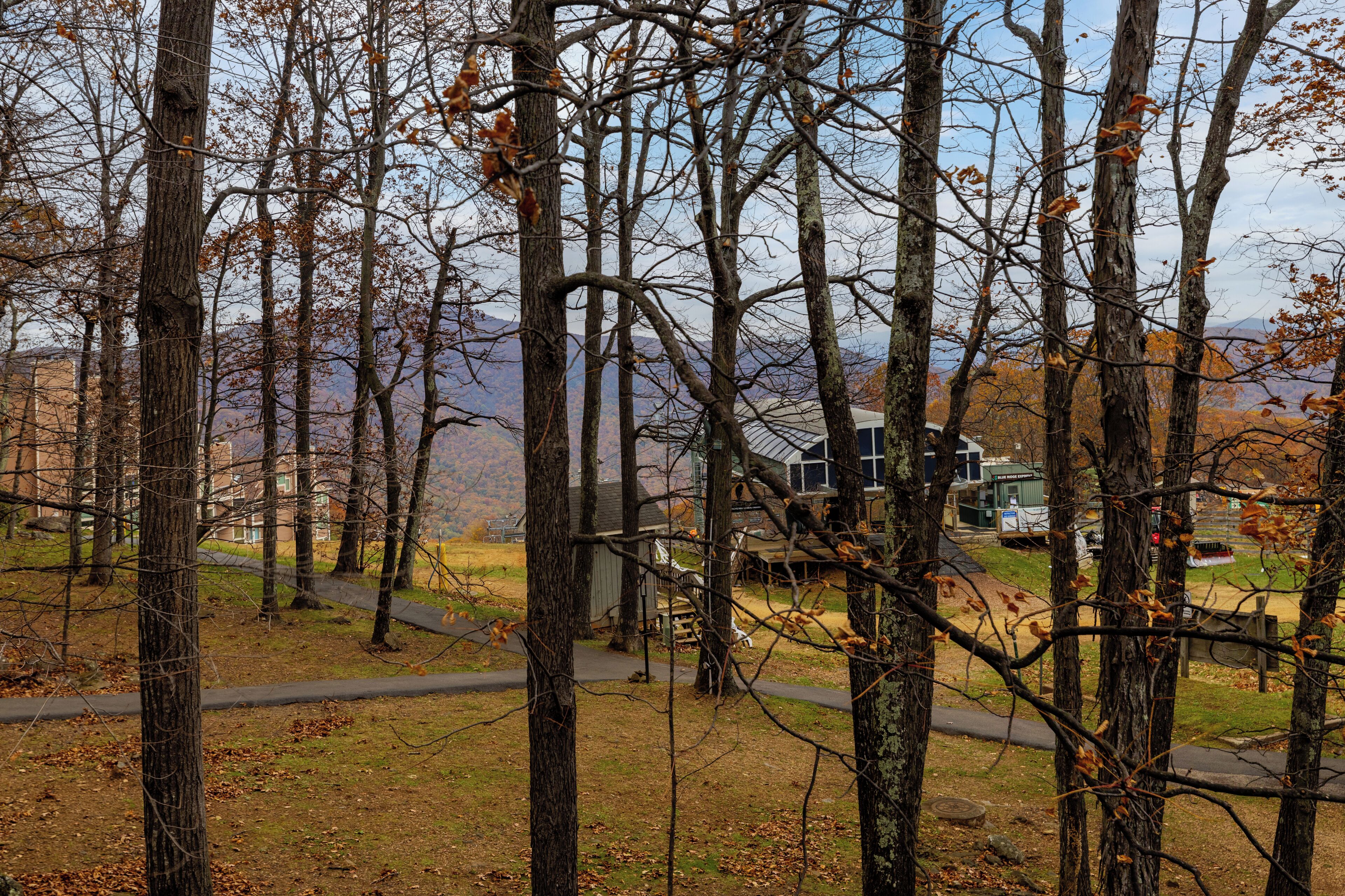 A rustic cabin surrounded by trees with a clear view of the mountains in the background.