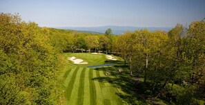 Golf - Timbers Studio 41 with Wintergreen advantage (Wintergreen)
