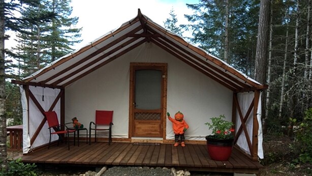 A small wooden cabin with a porch, a door, and a potted plant.