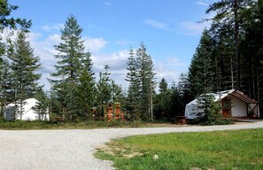 A gravel path leading to a row of cabins surrounded by dense forest. - Spacious Safari Tent with Forest Views for a Getaway near Seattle, Washington (Belfair)