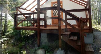 Spacious Safari Tent with Forest Views for a Getaway near Seattle, Washington