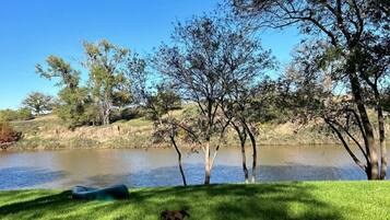 A grassy area with a dog lying down, trees, and a body of water in the background.