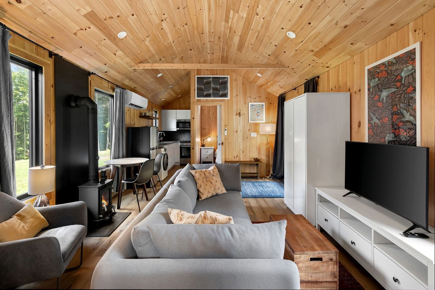 TV, fireplace