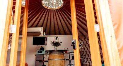 Pet Friendly Keuka Yurt in Penn Yan, New York