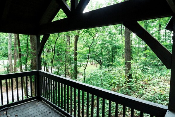 Property grounds - Tiny Home Cottage Near the Smokies (Sevierville)