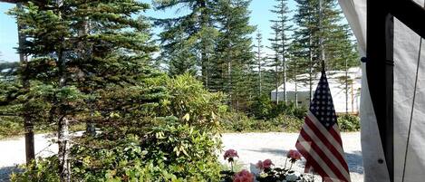 A potted plant with flowers and an American flag, surrounded by trees and a building structure.