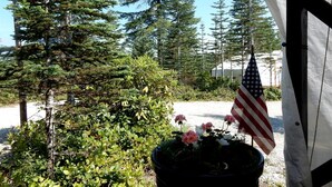 Ein Topfpflanze mit Blumen und eine amerikanische Flagge, umgeben von Bäumen und einem Gebäudebau.