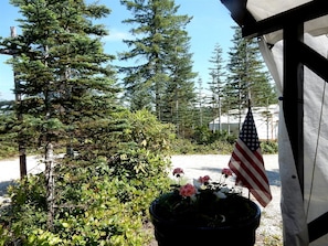 A potted plant with flowers and an American flag, surrounded by trees and a building structure.
