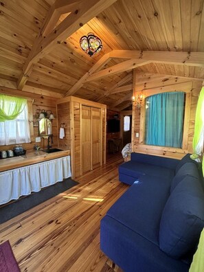 TV, DVD player - Rustic Tiny House near Dollywood - Perfect for a Nature Escape in Sevierville, Tennessee (Sevierville)