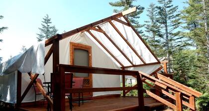 Luxury Camping Tent on Secluded Resort near Seattle, Washington