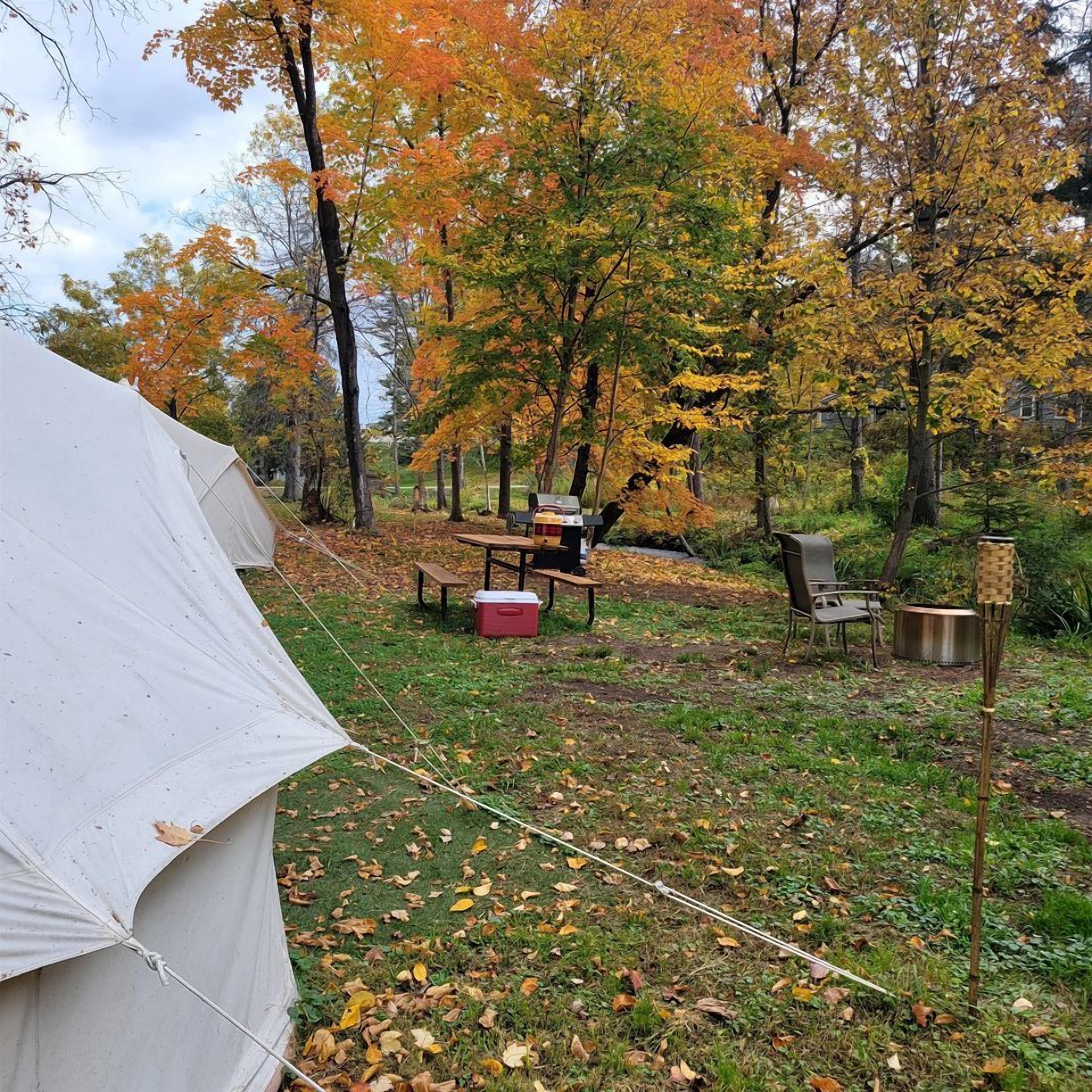 Restauration en plein air