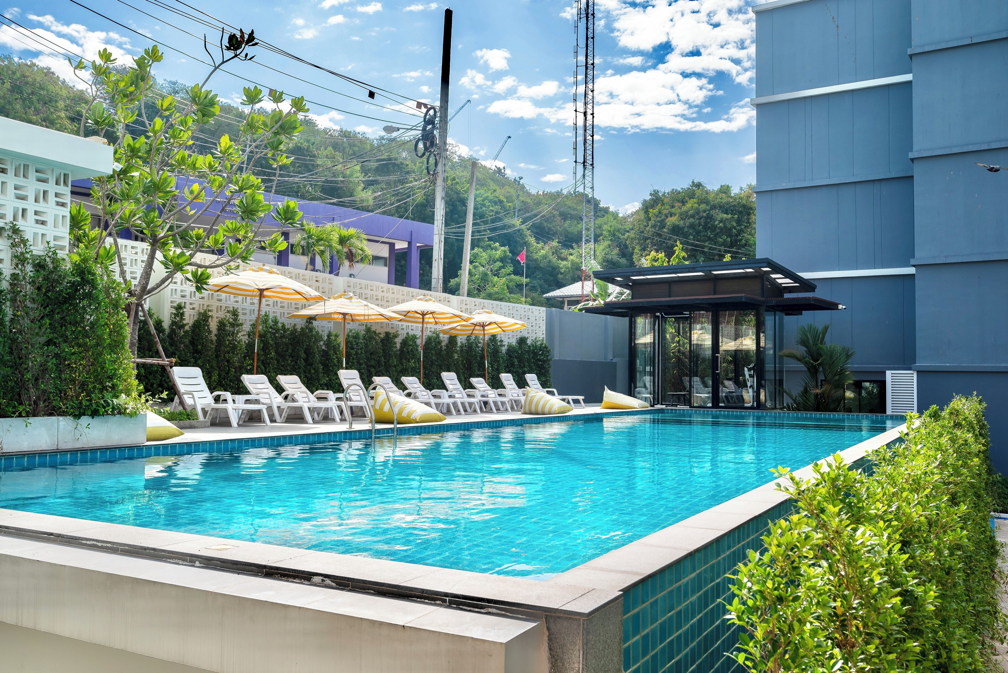 Outdoor pool, pool umbrellas, sun loungers