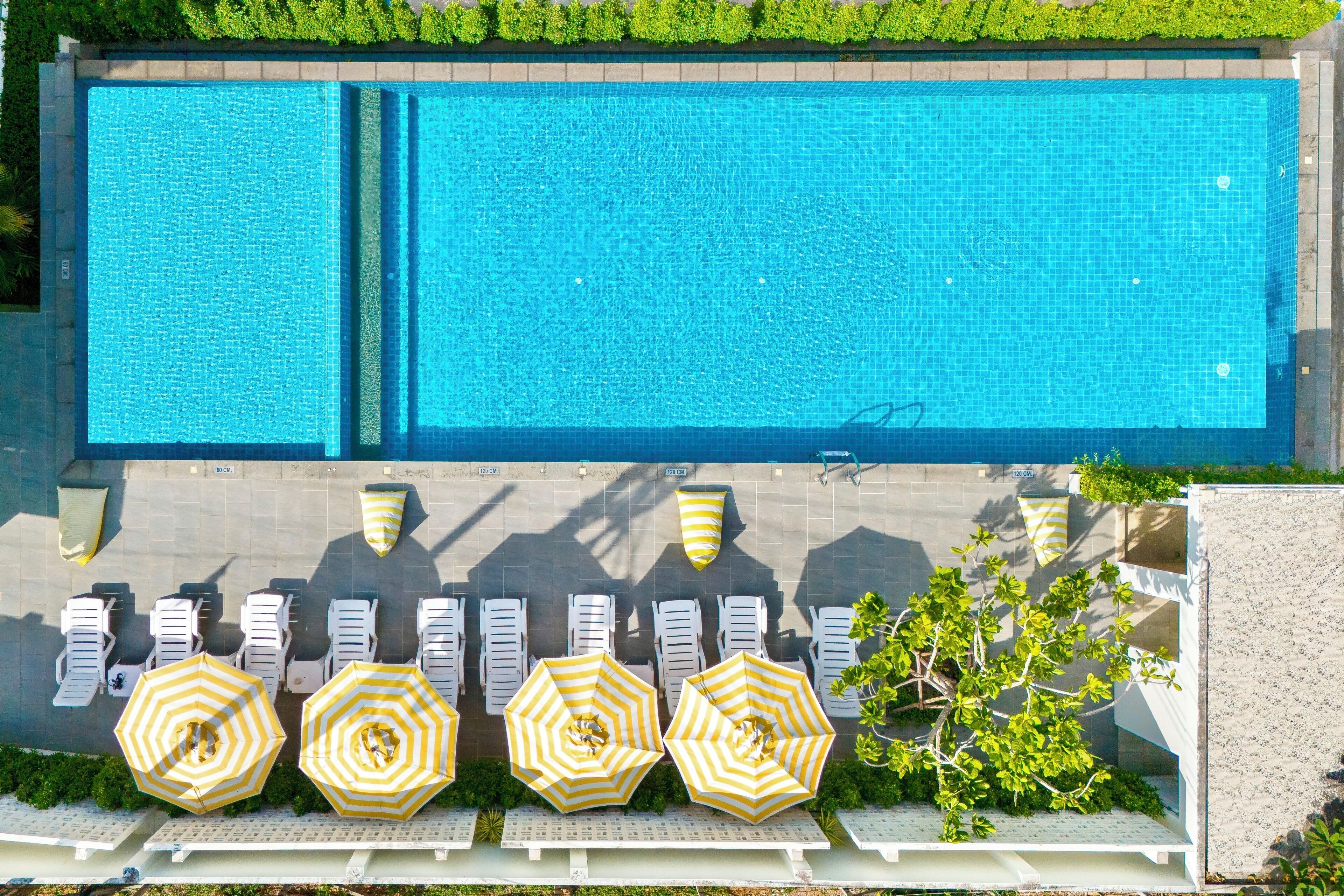 Outdoor pool, pool umbrellas, pool loungers