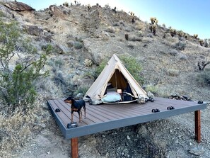 A tent set up on a wooden deck with a dog nearby, surrounded by a dry, rocky landscape. - Luxurious and Comfy Bell Tent in the Stunning Nevada Desert (Boulder City)