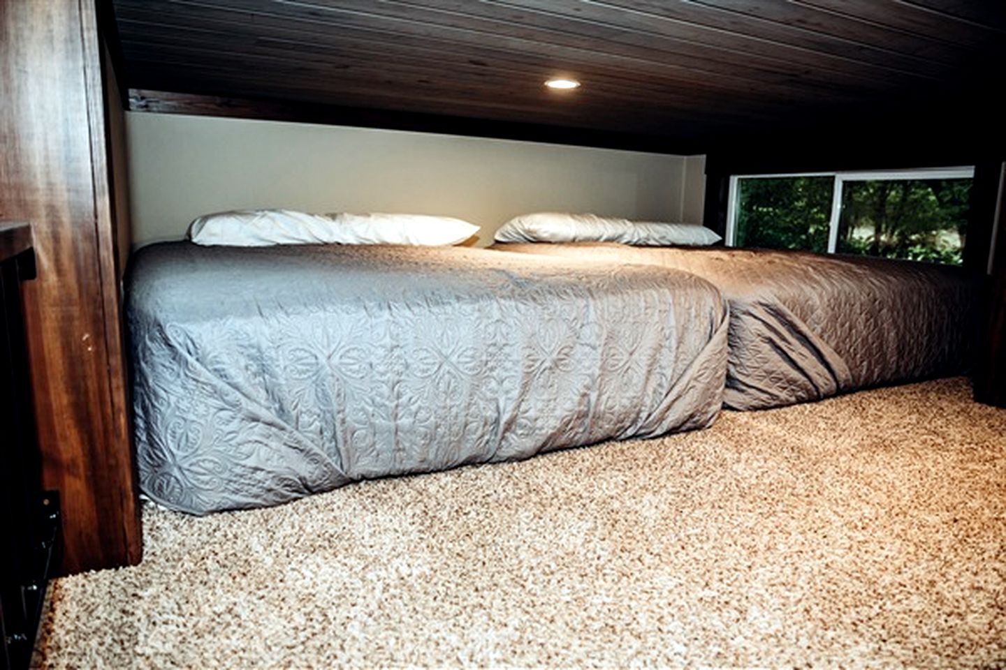 A bedroom with two beds, a carpeted floor, and a window with a view of greenery.