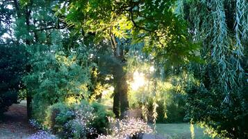 Jardines del alojamiento