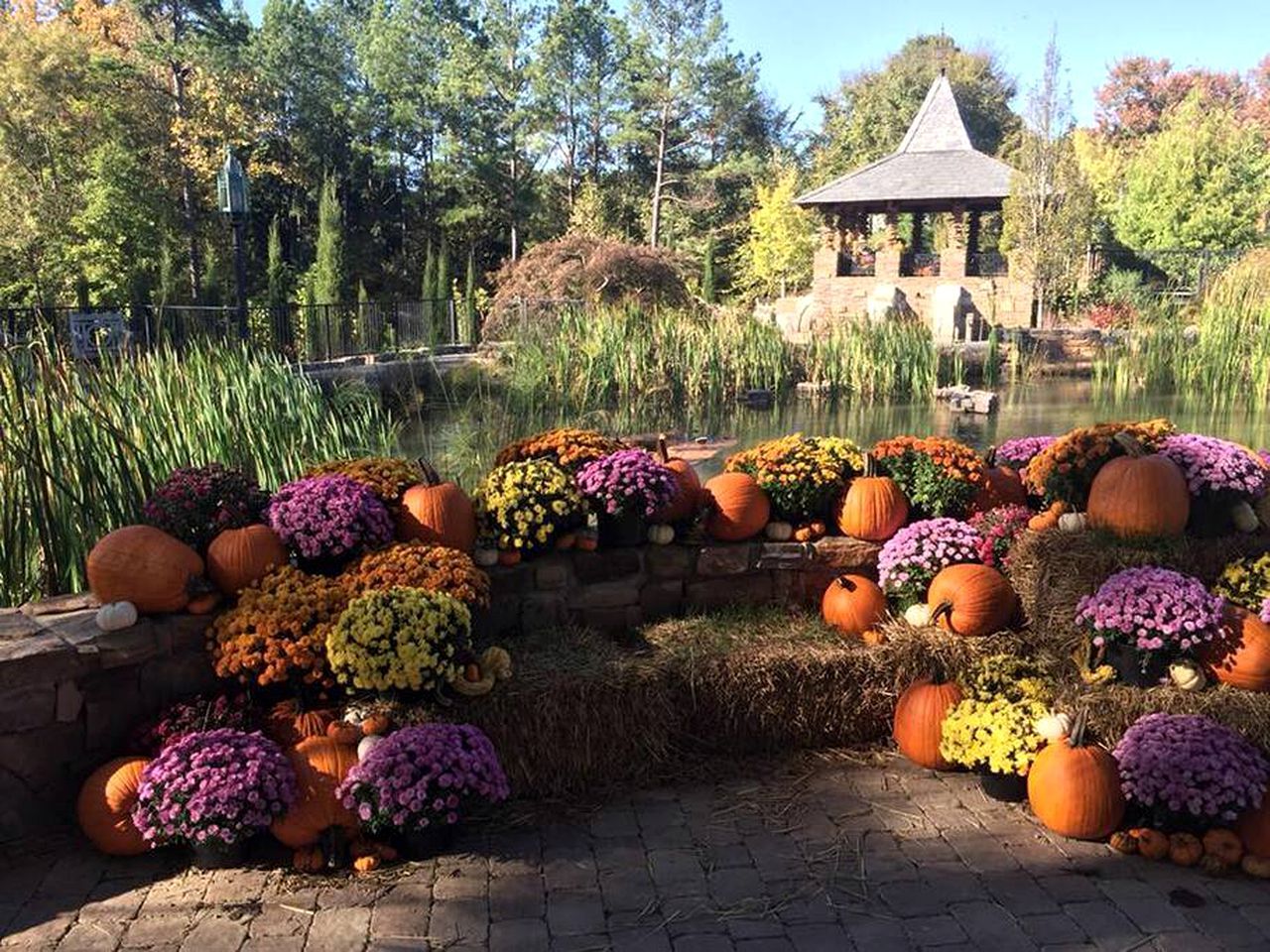 A garden with a stone wall, pumpkins, and flowers.