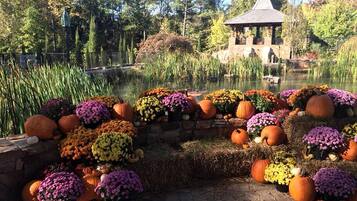 A garden with a stone wall, pumpkins, and flowers.