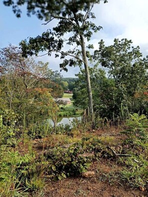 A natural landscape with a lake, trees, and a distant building. - Sweet Tiny House Perfect for a Romantic Retreat in Alabama (Rogersville)