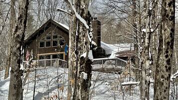 Une cabane avec une façade en bois, une cheminée et un toit recouvert de neige.