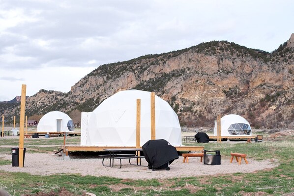 المنطقة المحيطة بالمنشأة