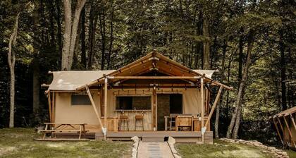 Incredible Safari Tent Perfect for Family Getaways in Erwin, Tennessee