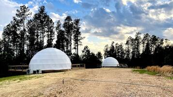 Two dome-shaped structures in an open field with a forest in the background.