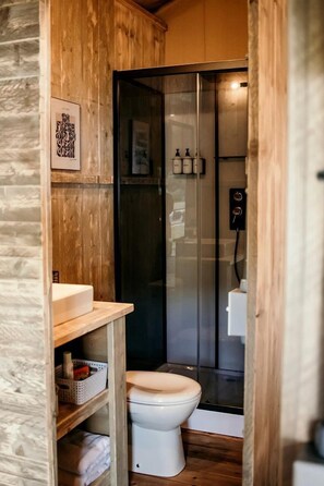Hair dryer, towels, soap, shampoo
