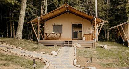 Fantastic Safari Tent in Erwin, Tennessee