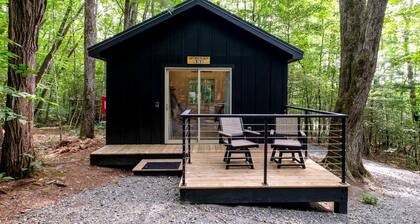 Secluded Forest Paradise: Cozy Cabin on 150 Acres in Transylvania County, NC