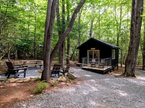 A cabin with a porch, surrounded by trees, and equipped with picnic tables and benches.